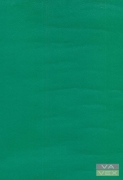 Papírová tapeta aranžovací 10,05 x0,53 m 1112004 zelená